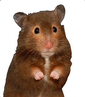 skrecok.gif