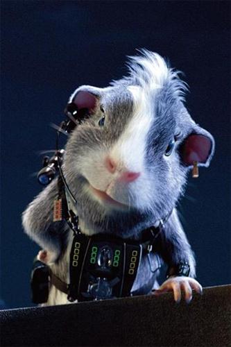 G-Force- Chuarézová.jpg